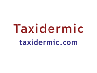 taxidermic.com