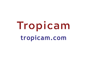 tropicam.com
