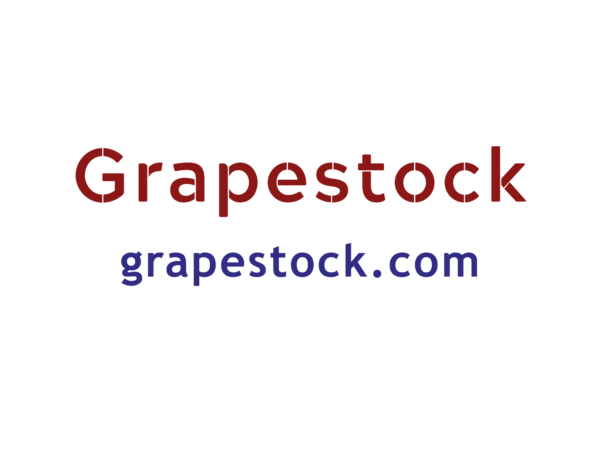 grapestock.com