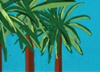 seychelleshome.com